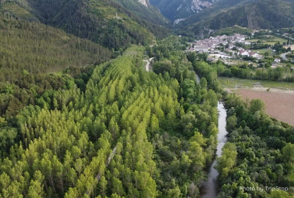Foto aéra del bosque junto al río con Burgui al fondo