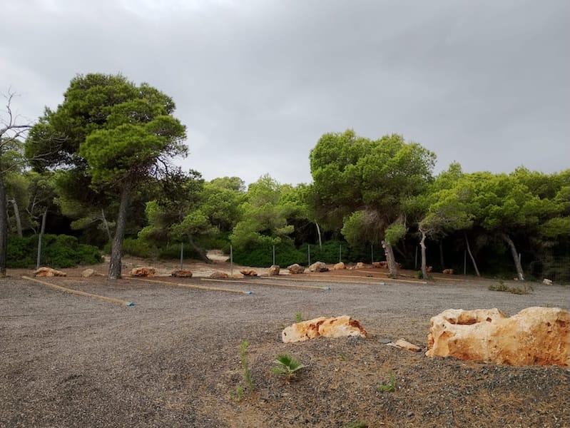 Foto da área de Son Serra