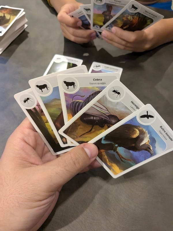 Caja metálica del juego Cardline Animales junto a la ventana de una furgoneta camper.