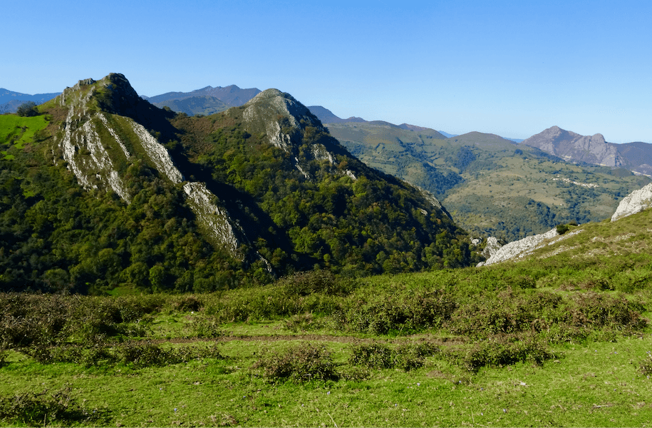 Paisaje verde en el concejo Asturiano de Belmonte de Miranda